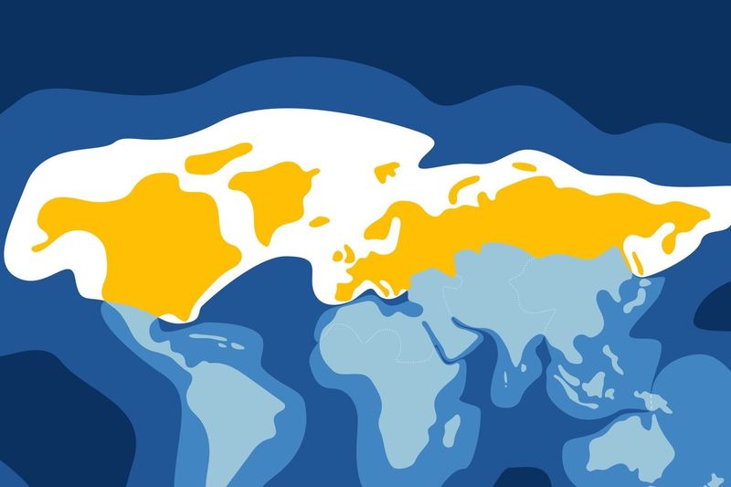 Europe and Northern America Region