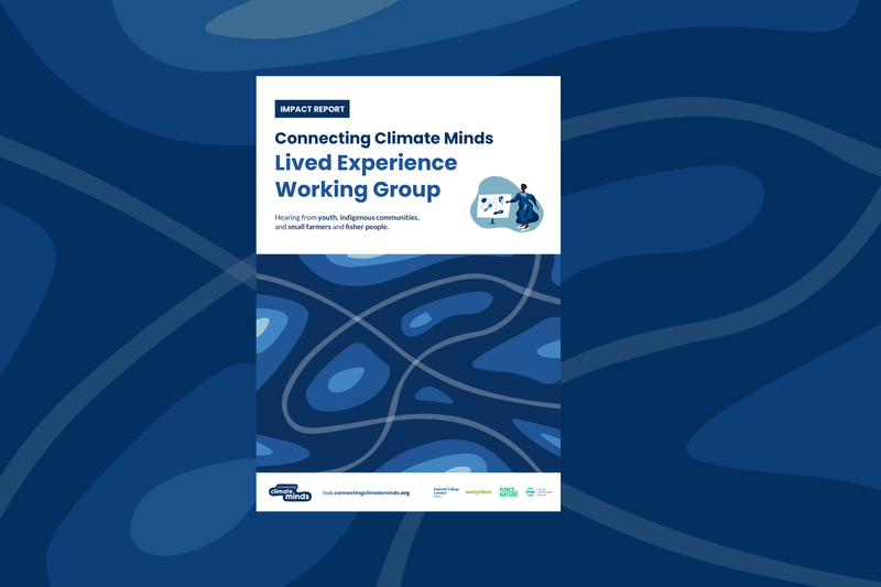 Connecting Climate Minds Lived Experience Working Group Impact Report